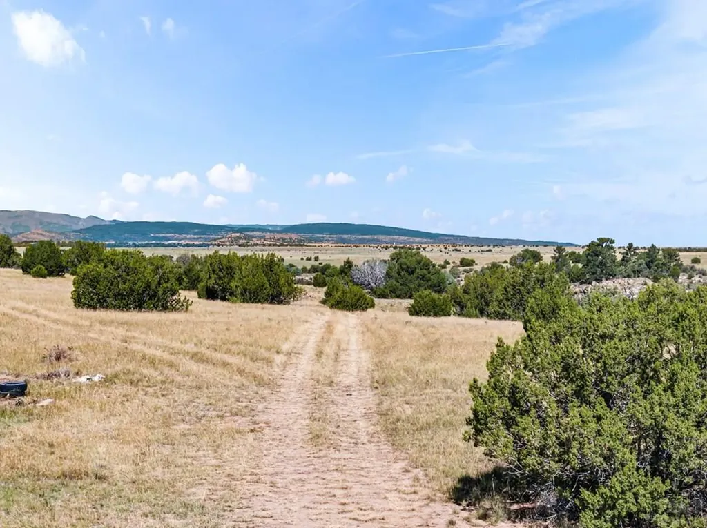 7015 Burnt Mill Road Beulah CO 81023