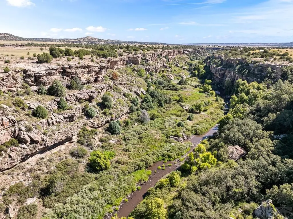 7015 Burnt Mill Road Beulah CO 81023