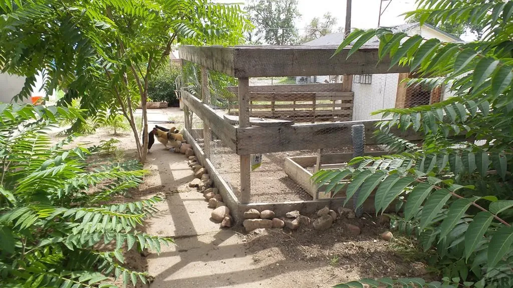 1208 E 11th Street Pueblo CO 81001