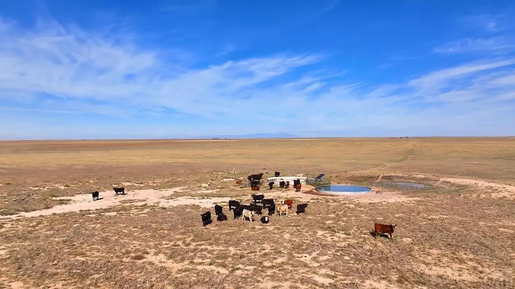 6216 Moreland Road Boone CO 81025