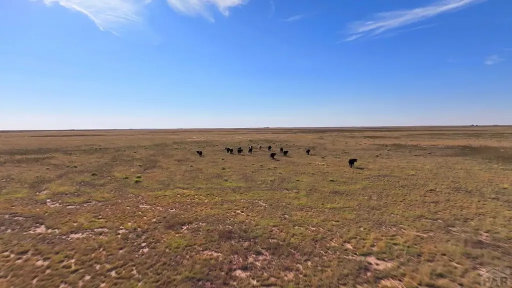 6216 Moreland Road Boone CO 81025