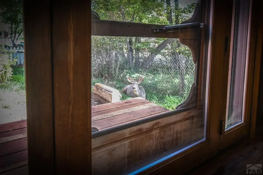 8882 Grand Avenue Beulah CO 81023