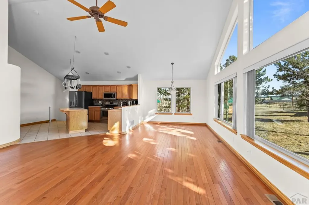 162 Ridge Top Drive Divide CO 80814