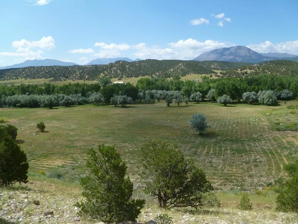 40 County Road 541 Gardner CO 81040