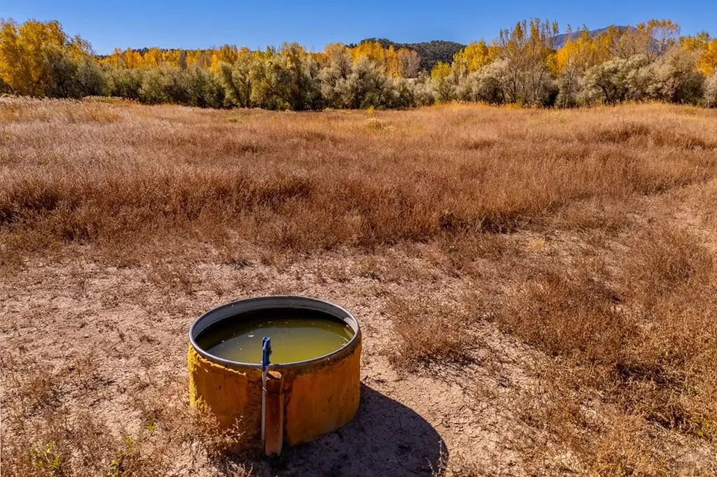 40 County Road 541 Gardner CO 81040