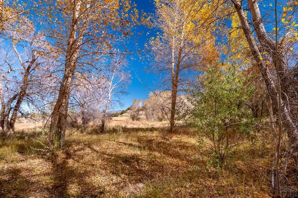 40 County Road 541 Gardner CO 81040