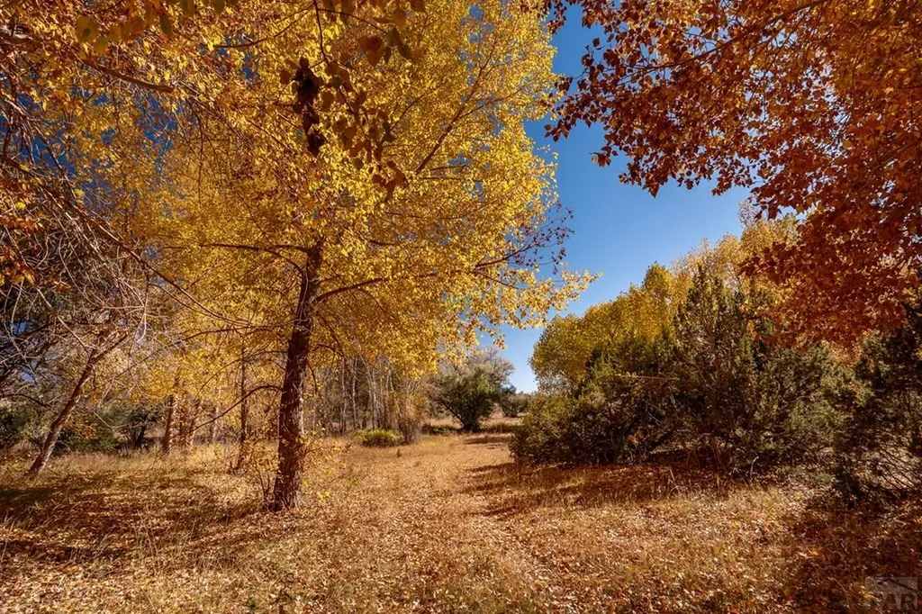 40 County Road 541 Gardner CO 81040