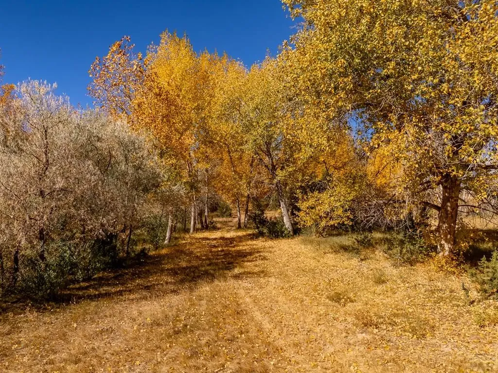 40 County Road 541 Gardner CO 81040