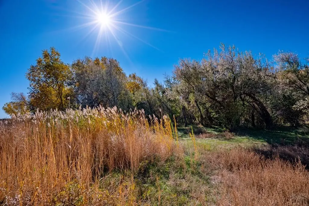 40 County Road 541 Gardner CO 81040