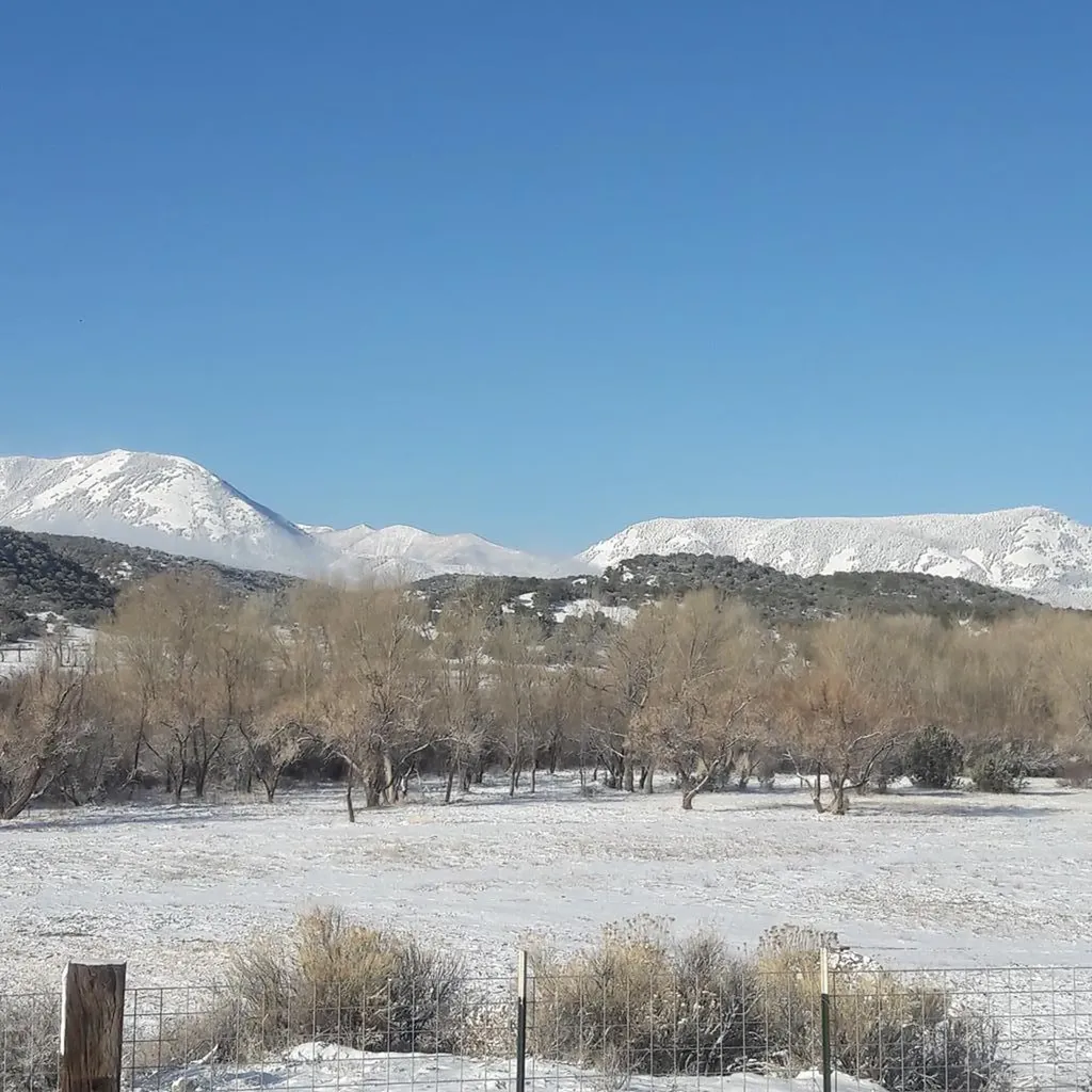 40 County Road 541 Gardner CO 81040