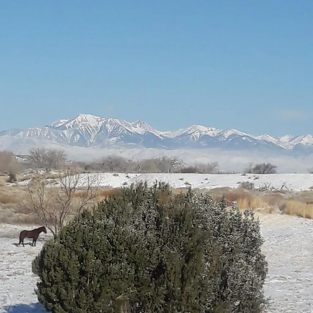 40 County Road 541 Gardner CO 81040