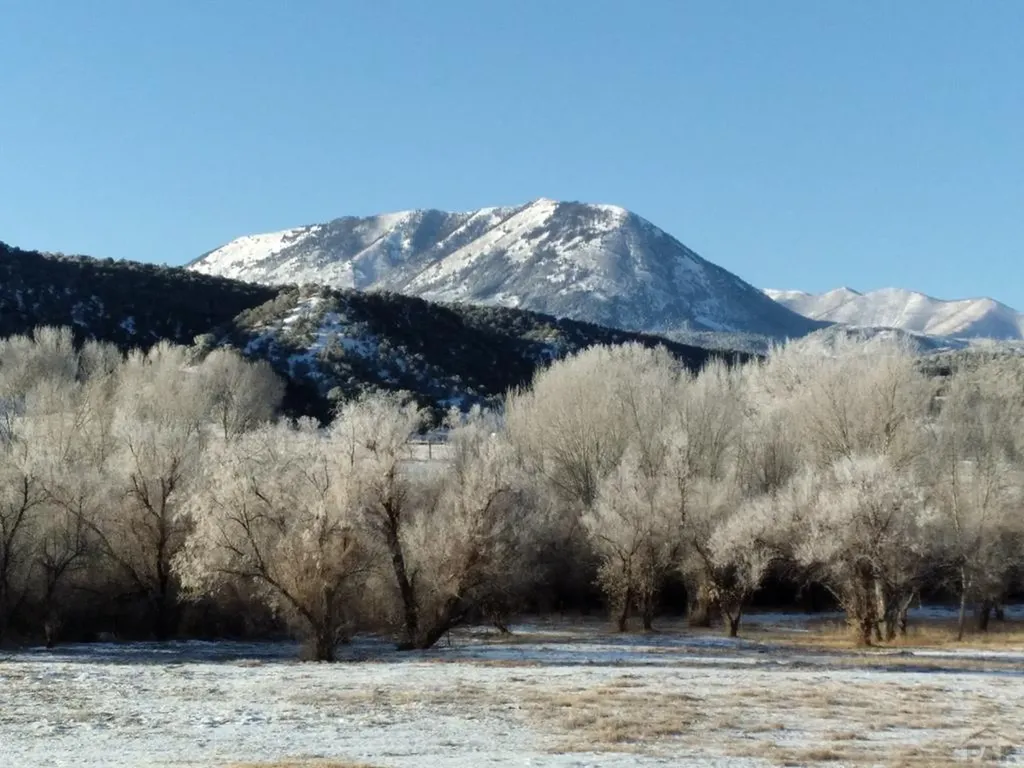 40 County Road 541 Gardner CO 81040