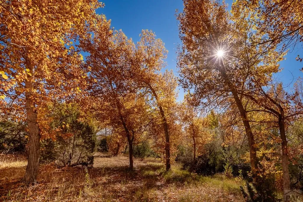 40 County Road 541 Gardner CO 81040