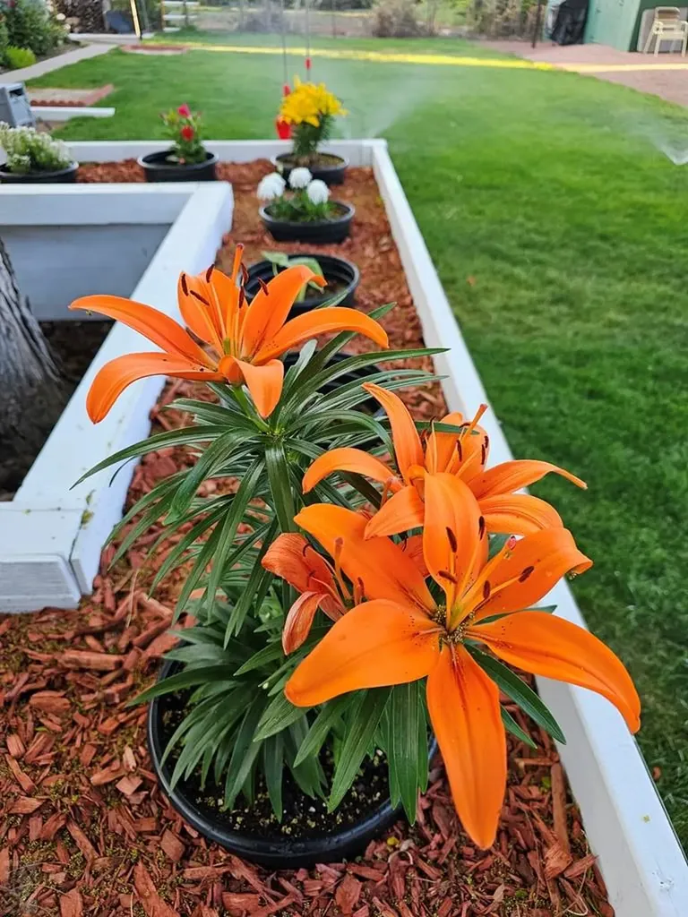 62 Amherst Avenue Pueblo CO 81005