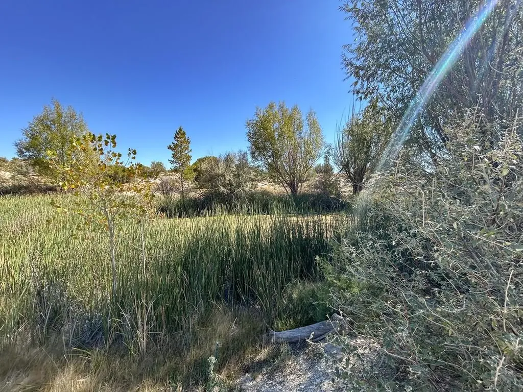 1785 County Road 120 Penrose CO 81240