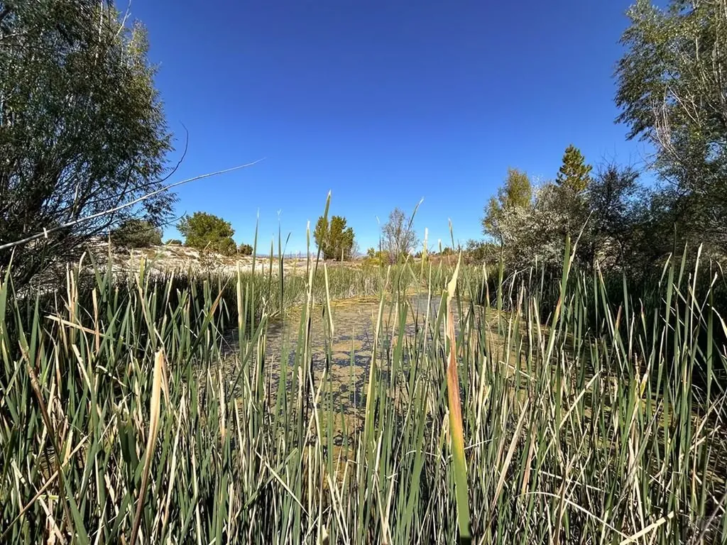 1785 County Road 120 Penrose CO 81240