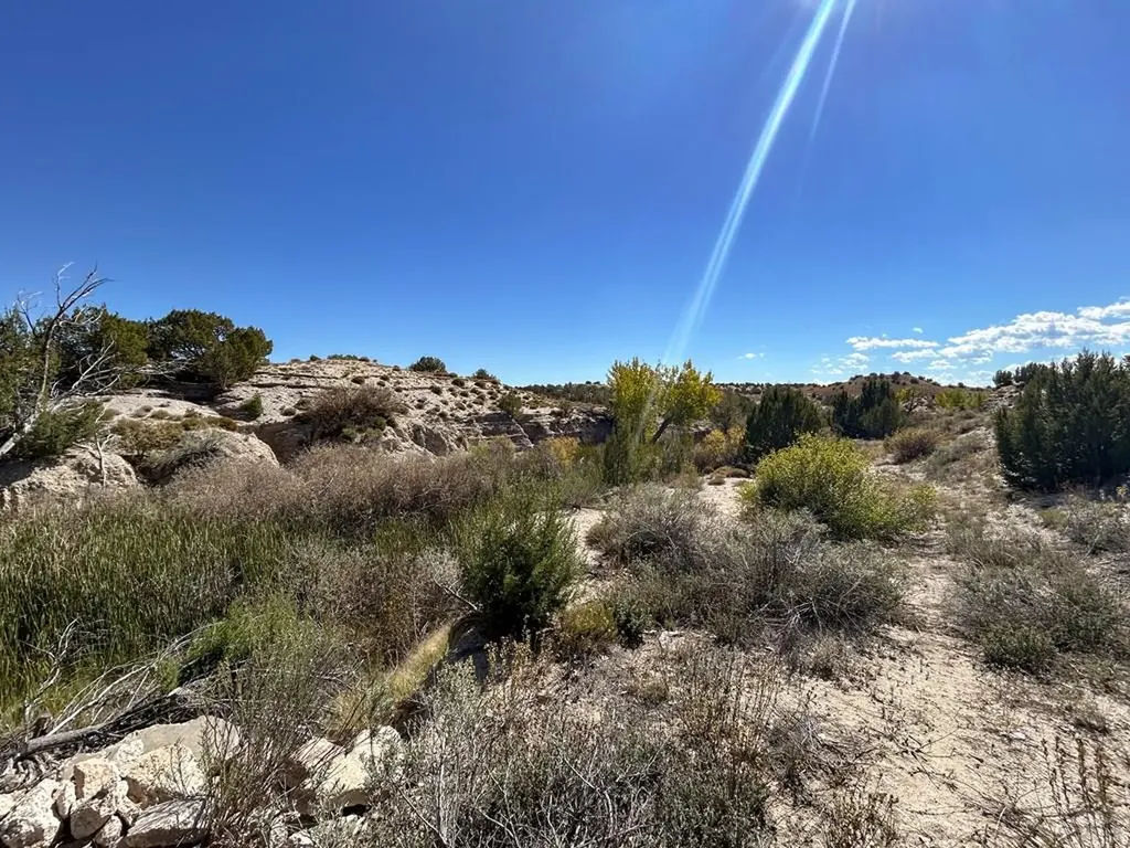 1785 County Road 120 Penrose CO 81240