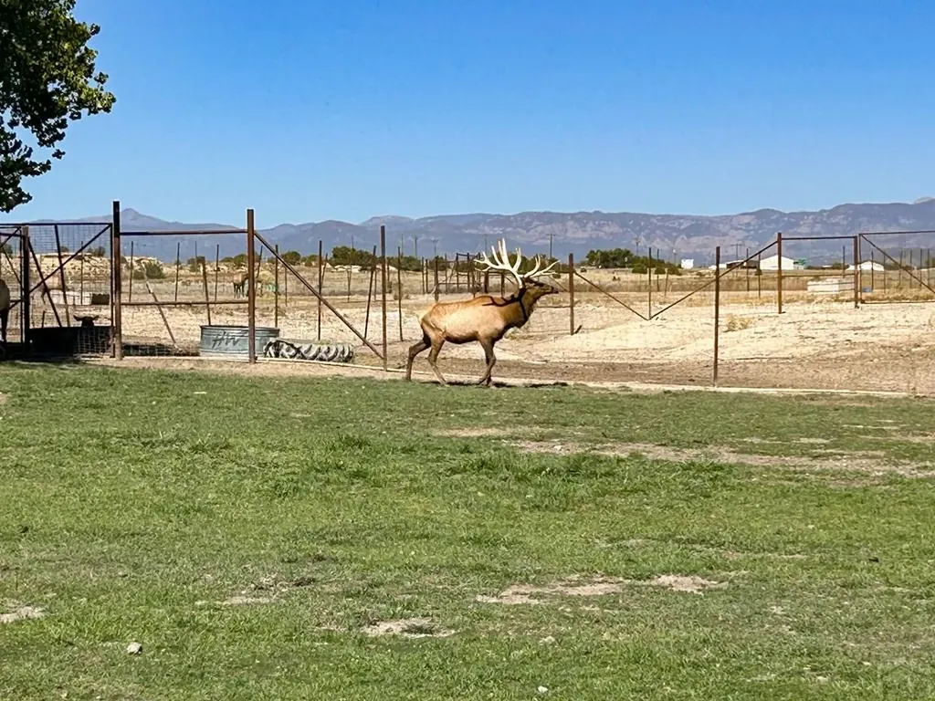 1785 County Road 120 Penrose CO 81240