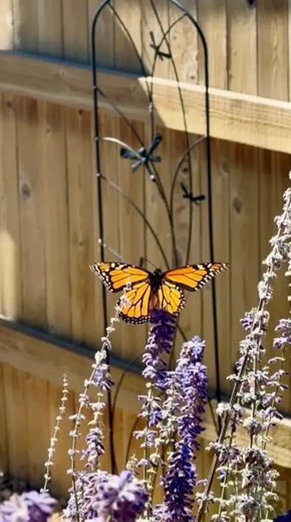 803 Thorncrest Drive Pueblo CO 81005