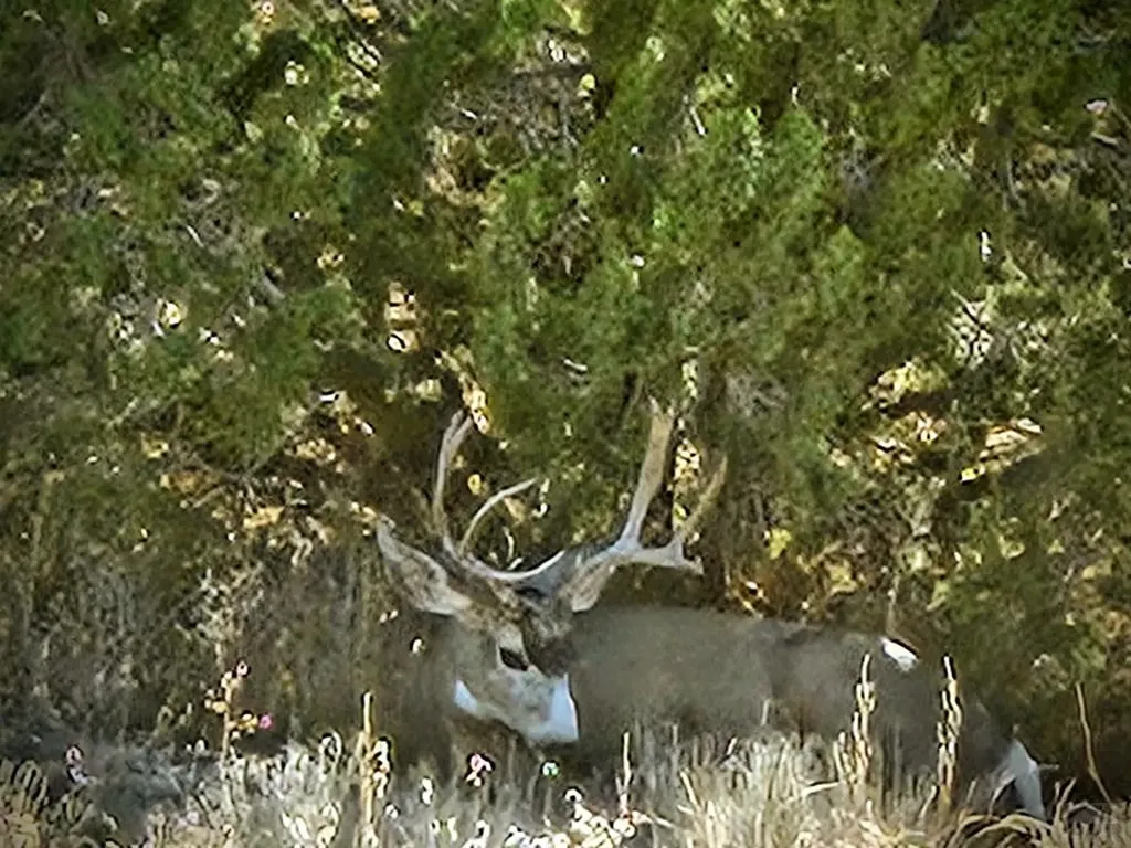 1574 4th Street Penrose CO 81240