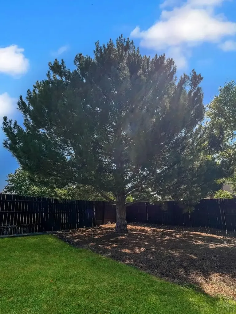 204 Bridle Trail Pueblo CO 81005