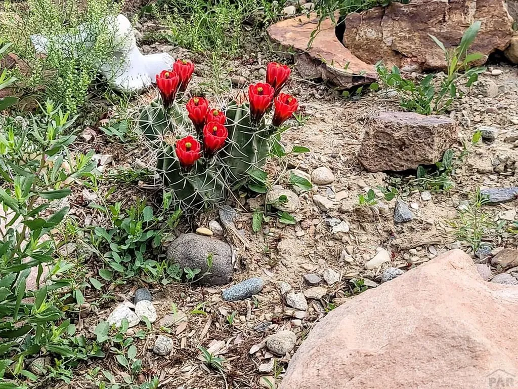 2115 Rangeview Drive Pueblo CO 81008