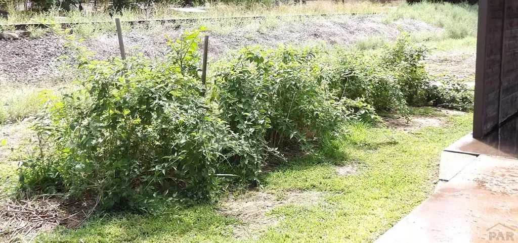 826 Myrtle Avenue Canon City CO 81212