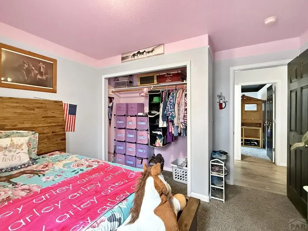 5110 Aramis Court Pueblo CO 81005