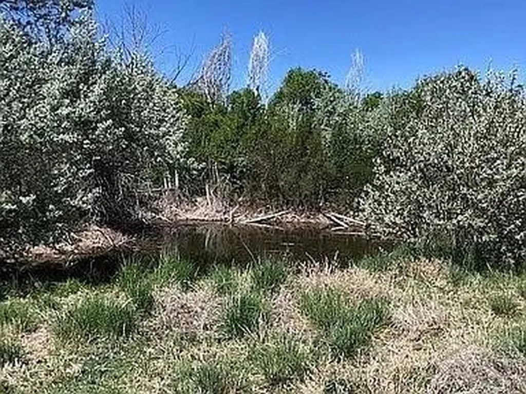 1006 I Street Penrose CO 81240