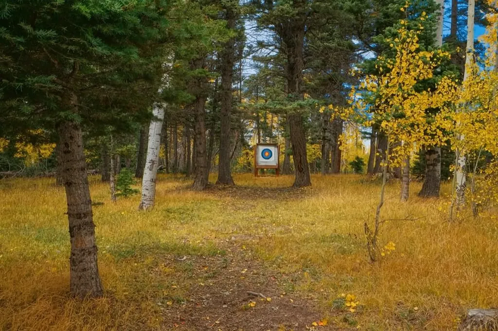 2469 Petito Drive Fort Garland CO 81133