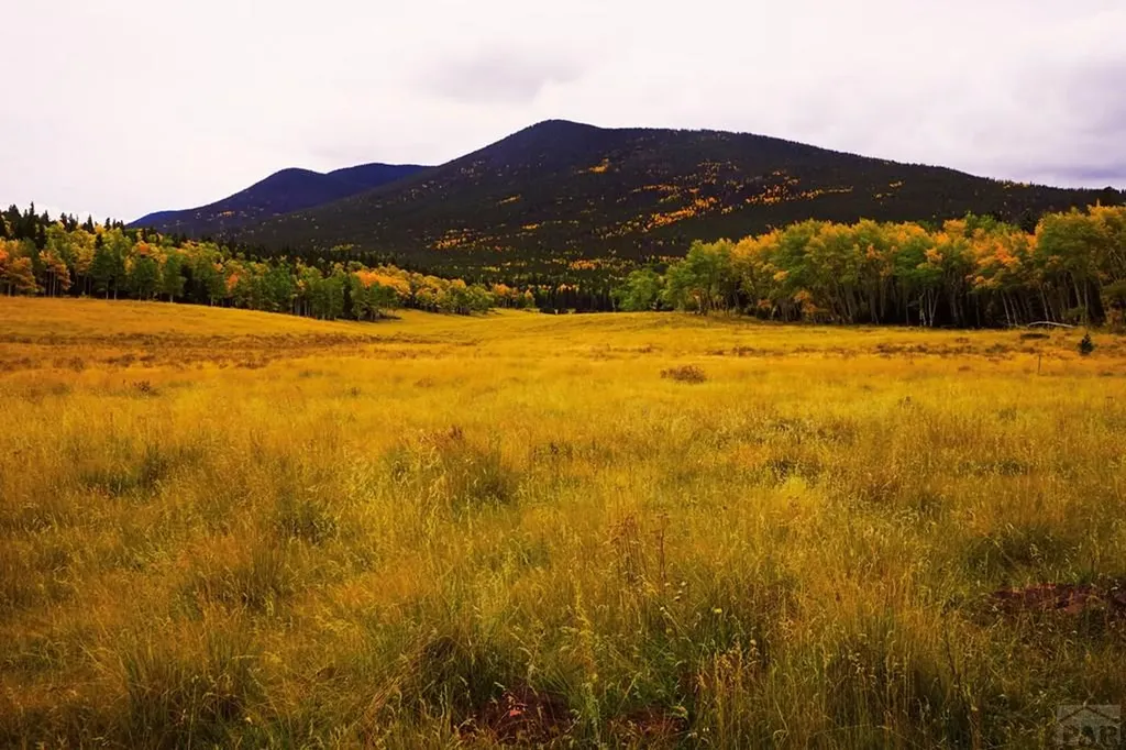 2469 Petito Drive Fort Garland CO 81133