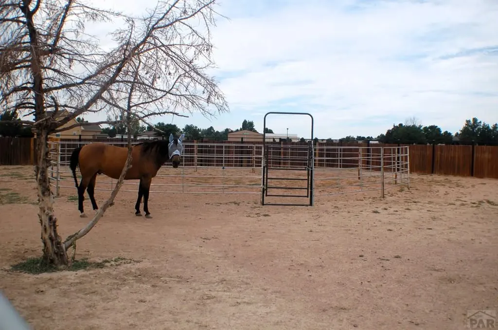 973 W Mcculloch Boulevard N Pueblo West CO 81007