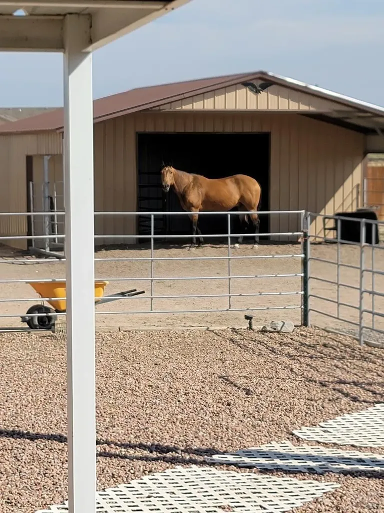 973 W Mcculloch Boulevard N Pueblo West CO 81007