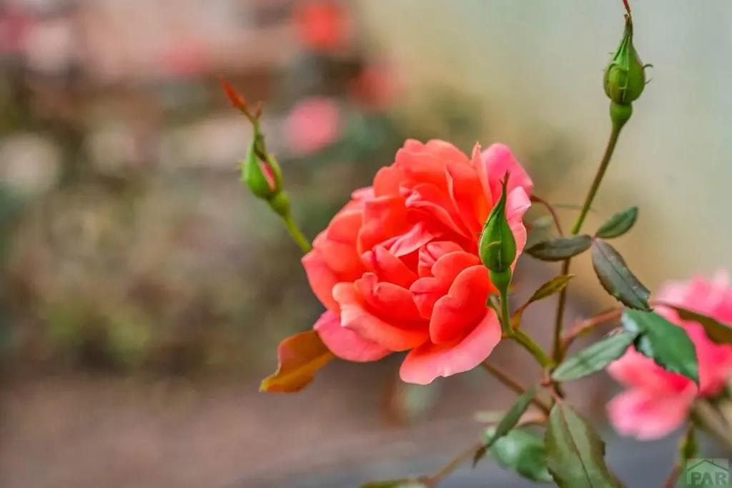 4212 Getaway Place Pueblo CO 81008