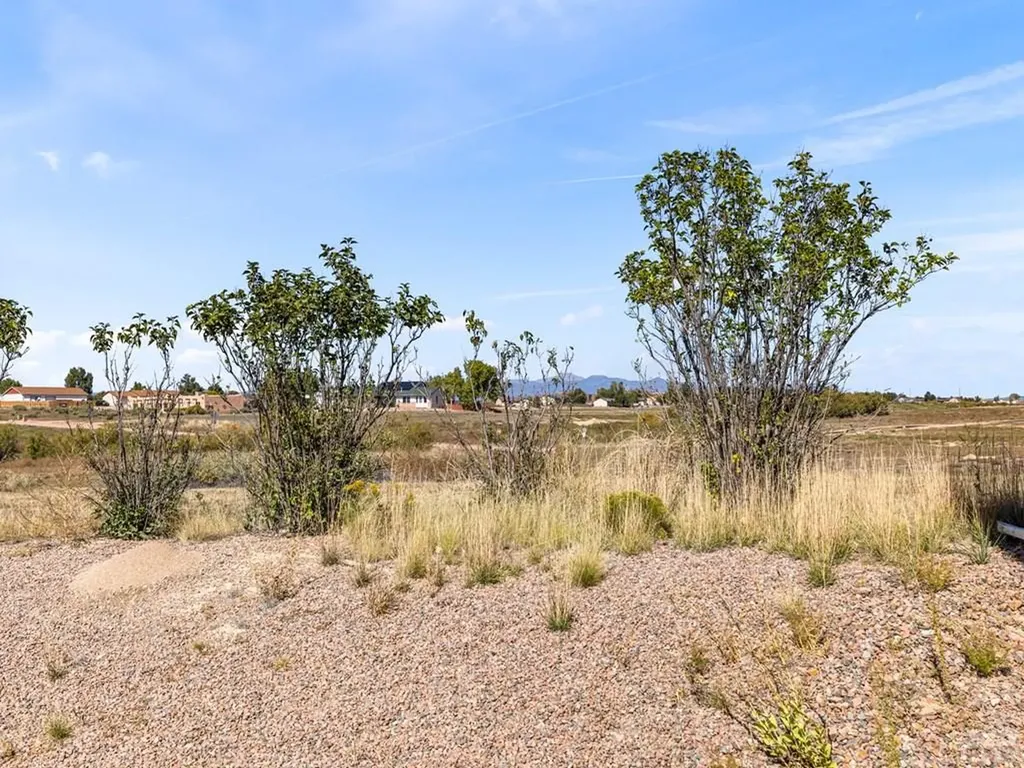 1003 S Quantico Drive Pueblo West CO 81007