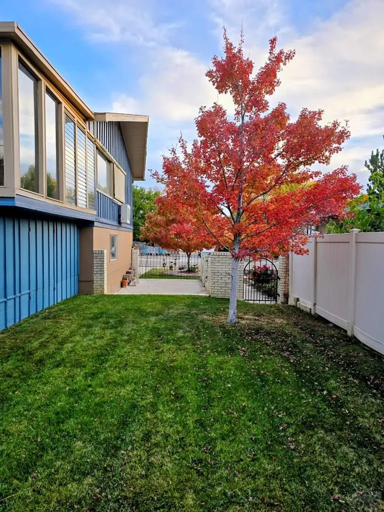 3241 Shalimar Terrace Pueblo CO 81008