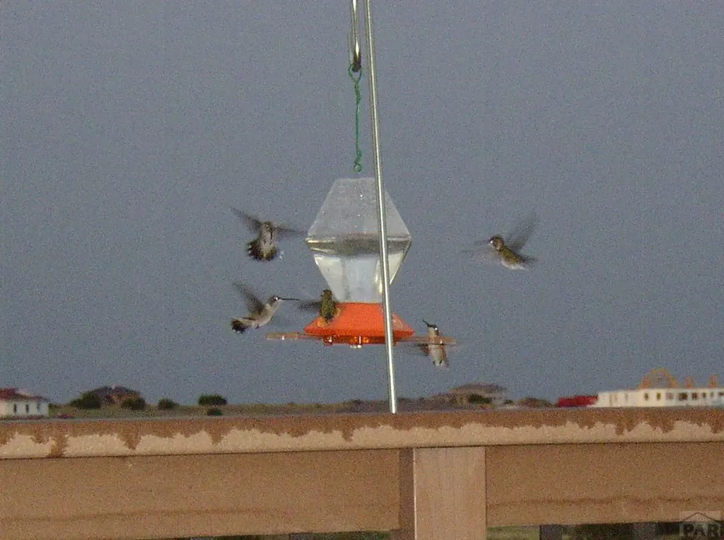 5741 Street Charles River Drive Pueblo CO 81004