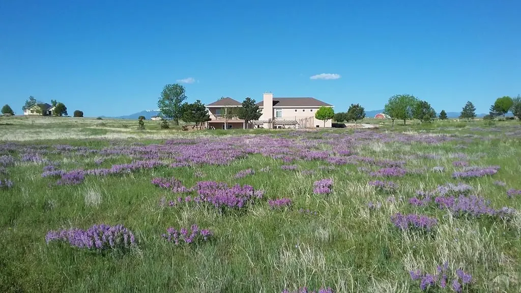 5741 Street Charles River Drive Pueblo CO 81004