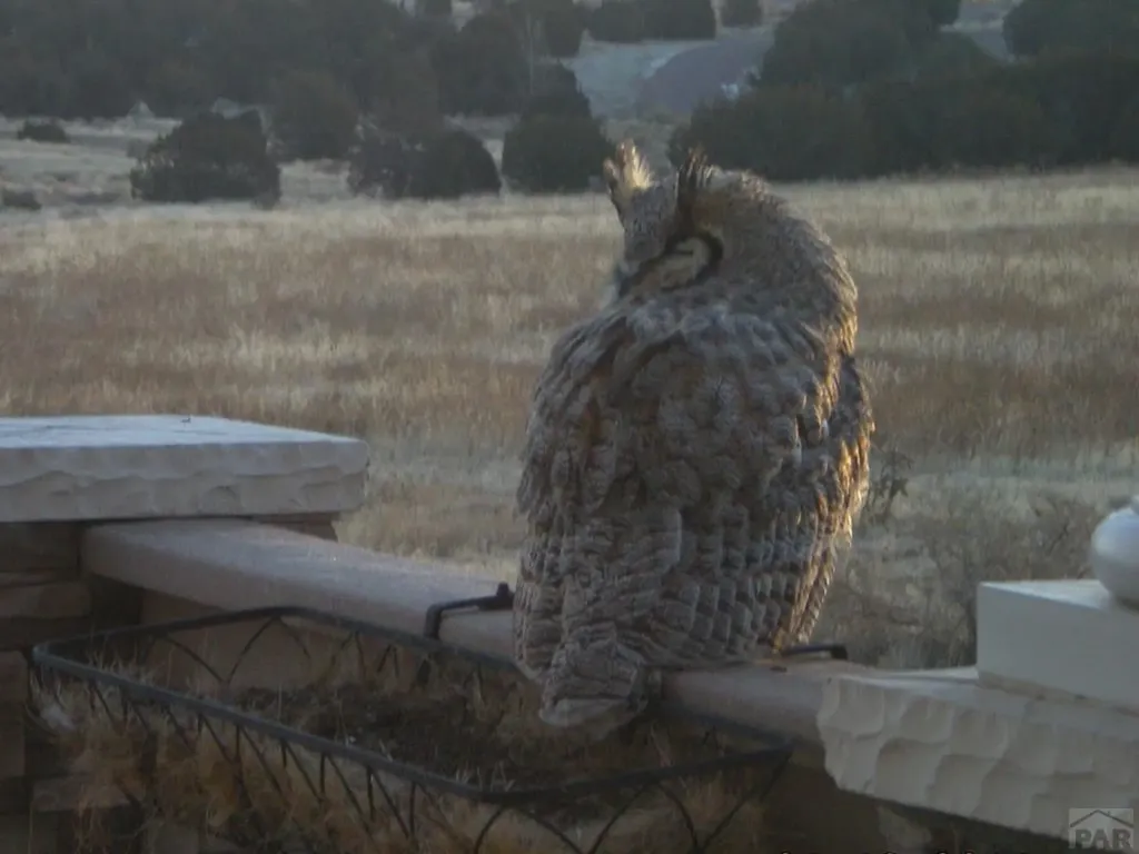 5741 Street Charles River Drive Pueblo CO 81004