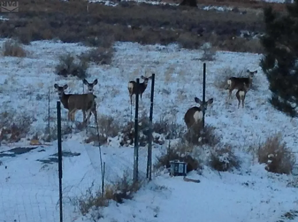 5741 Street Charles River Drive Pueblo CO 81004