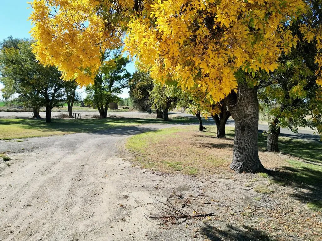 28520 County Road 14 Rocky Ford CO 81067