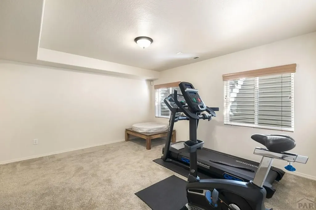 9533 Newport Plum Court Colorado Springs CO 80920