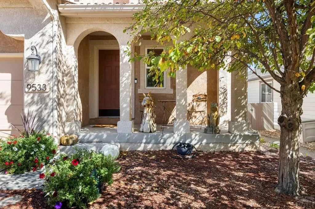 9533 Newport Plum Court Colorado Springs CO 80920