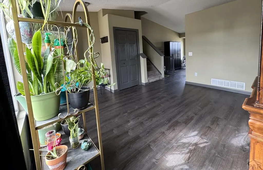 4290 Daylilly Drive Colorado Springs CO 80916