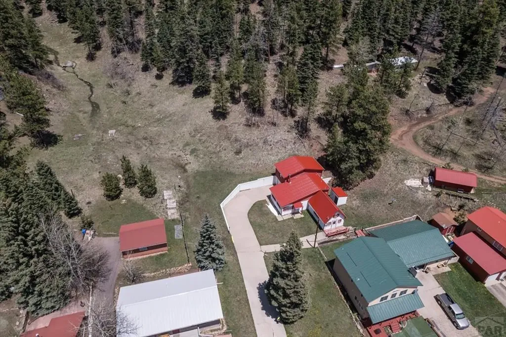 107 SW County Road 378 Rye CO 81252