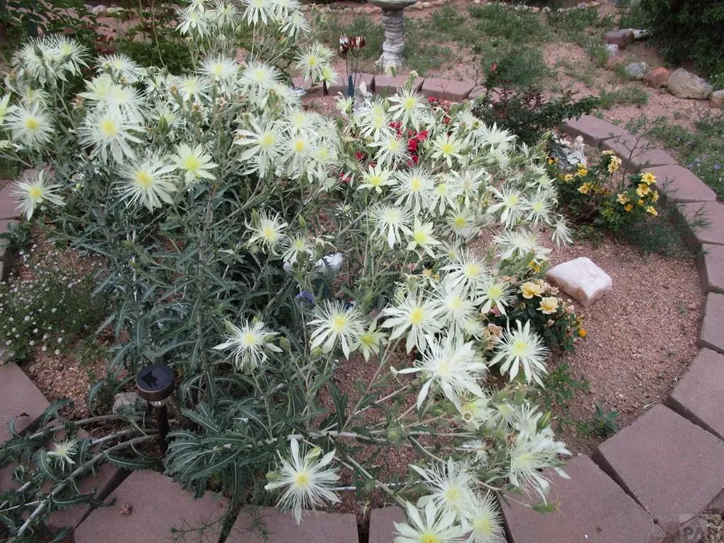 5775 N I-25 Pueblo CO 81008