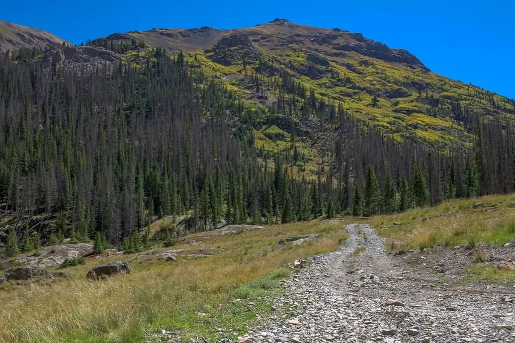 19000 County Road 30 Lake City CO 81235