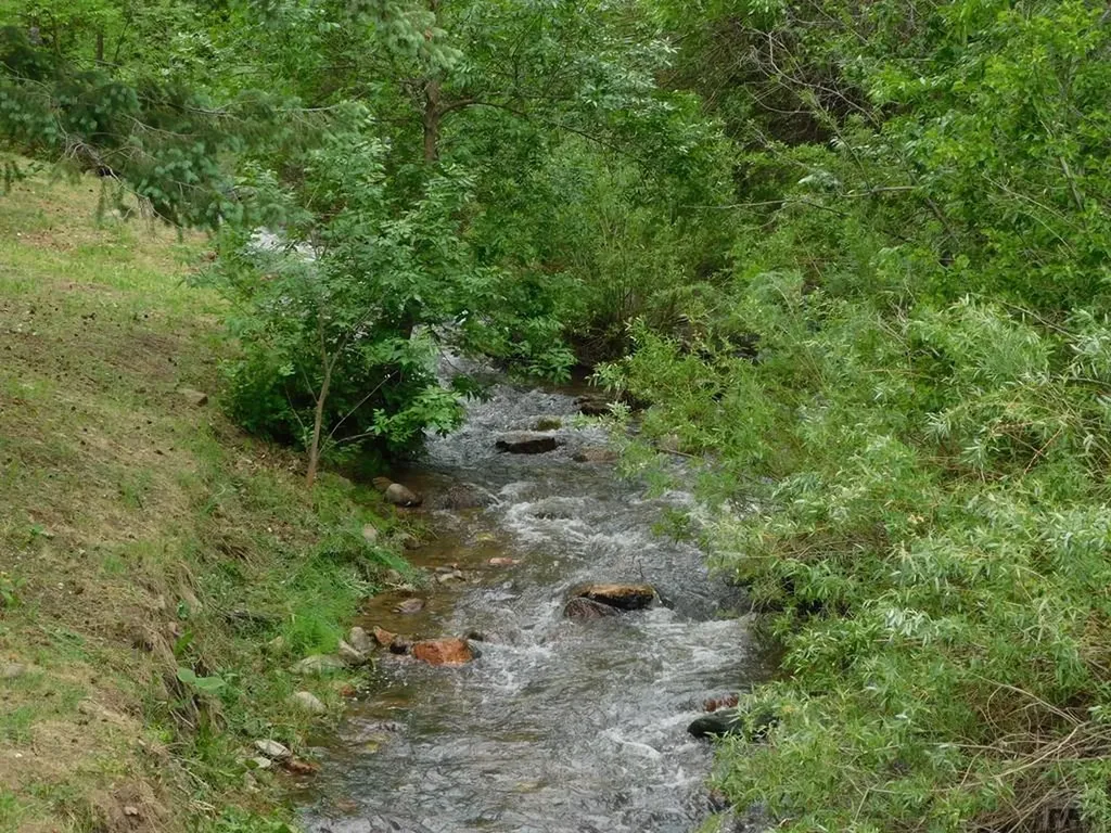 8988 Grand Avenue Beulah CO 81023