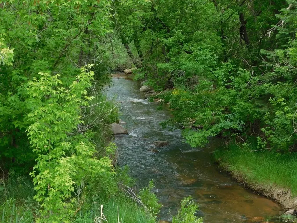 8988 Grand Avenue Beulah CO 81023