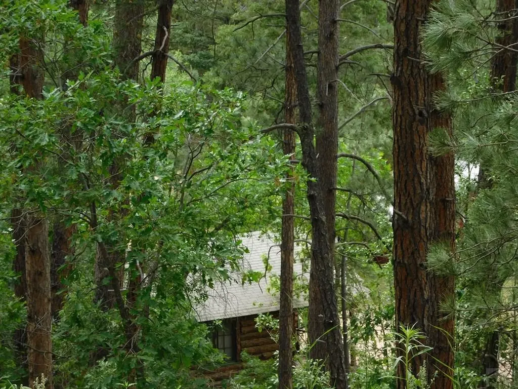 8988 Grand Avenue Beulah CO 81023